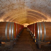 Falanghina wine tasting